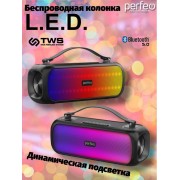 «L.E.D.» 14W, MP3 USB, AUX, FM, TS 6,35, VA, HF, TWS черная (PF_D0053)