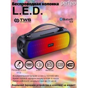 «L.E.D.» 14W, MP3 USB, AUX, FM, TS 6,35, VA, HF, TWS черная (PF_D0053)