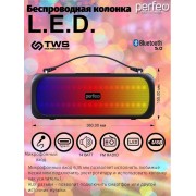 «L.E.D.» 14W, MP3 USB, AUX, FM, TS 6,35, VA, HF, TWS черная (PF_D0053)