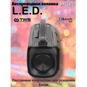 «L.E.D.» 14W, MP3 USB, AUX, FM, TS 6,35, VA, HF, TWS черная (PF_D0053)