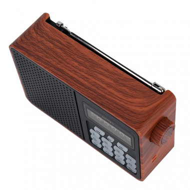ALPINIST FM+ 70-108МГц/ MP3/ коричневый питание USB или 18650 ALPINIST FM+ 70-108МГц/ MP3/ коричневый питание USB или 18650