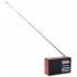 ALPINIST FM+ 70-108МГц/ MP3/ коричневый питание USB или 18650 ALPINIST FM+ 70-108МГц/ MP3/ коричневый питание USB или 18650