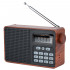 ALPINIST FM+ 70-108МГц/ MP3/ коричневый питание USB или 18650 ALPINIST FM+ 70-108МГц/ MP3/ коричневый питание USB или 18650