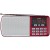 ЕГЕРЬ FM+ 70-108МГц/ MP3 красный i120-RED (PF_5026)
