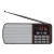 ЕГЕРЬ FM+ 70-108МГц/ MP3/ питание USB или BL5C/ коричневый i120-BK